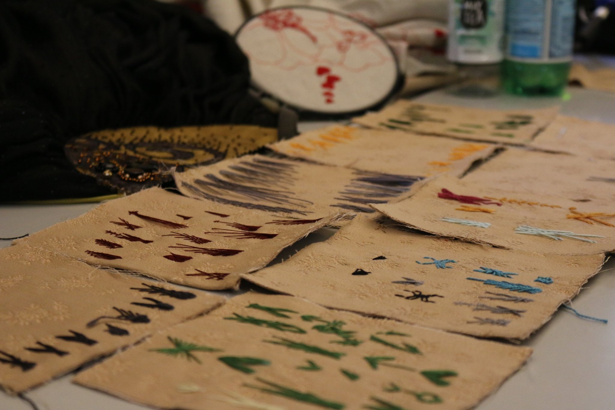 Présentation d'abeilles